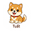 Tuất